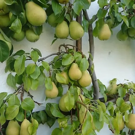 Menkenhof 雷特温克尔