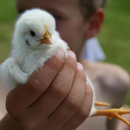 Menkenhof アパート *