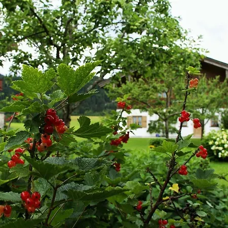 Apartamento Menkenhof Reit im Winkl